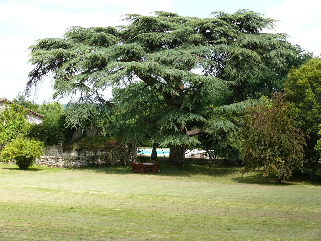 Bed and Breakfast Domaine De Lamassas Hautefage-la-Tour Exterior foto